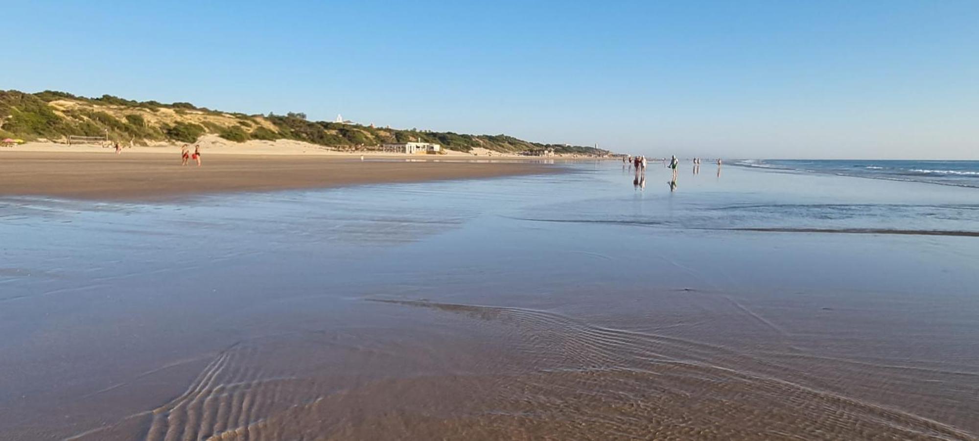 Casa Chiclana Centro Lejlighed Chiclana de la Frontera Eksteriør billede
